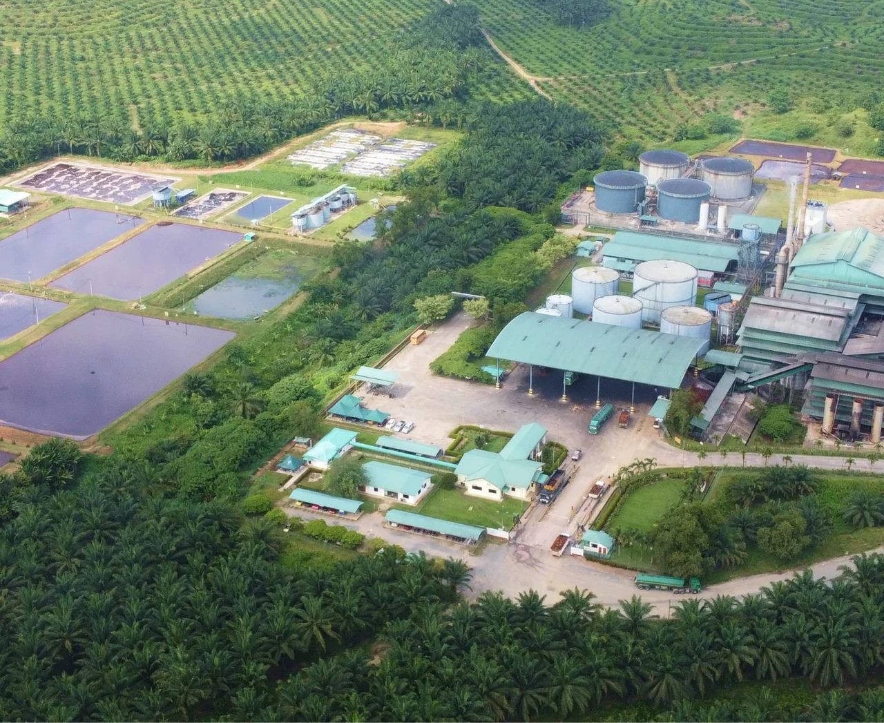 Aerial view of palm oil mill and surrounding industry